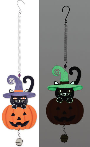 Cat and Pumpkin Bouncy