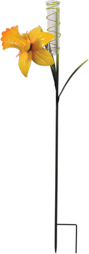 Daffodil Rain Gauge