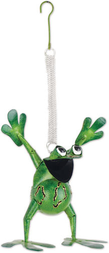 Sammy - Frog Bouncy