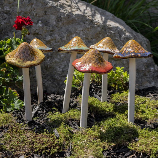 Large Natural Mushroom