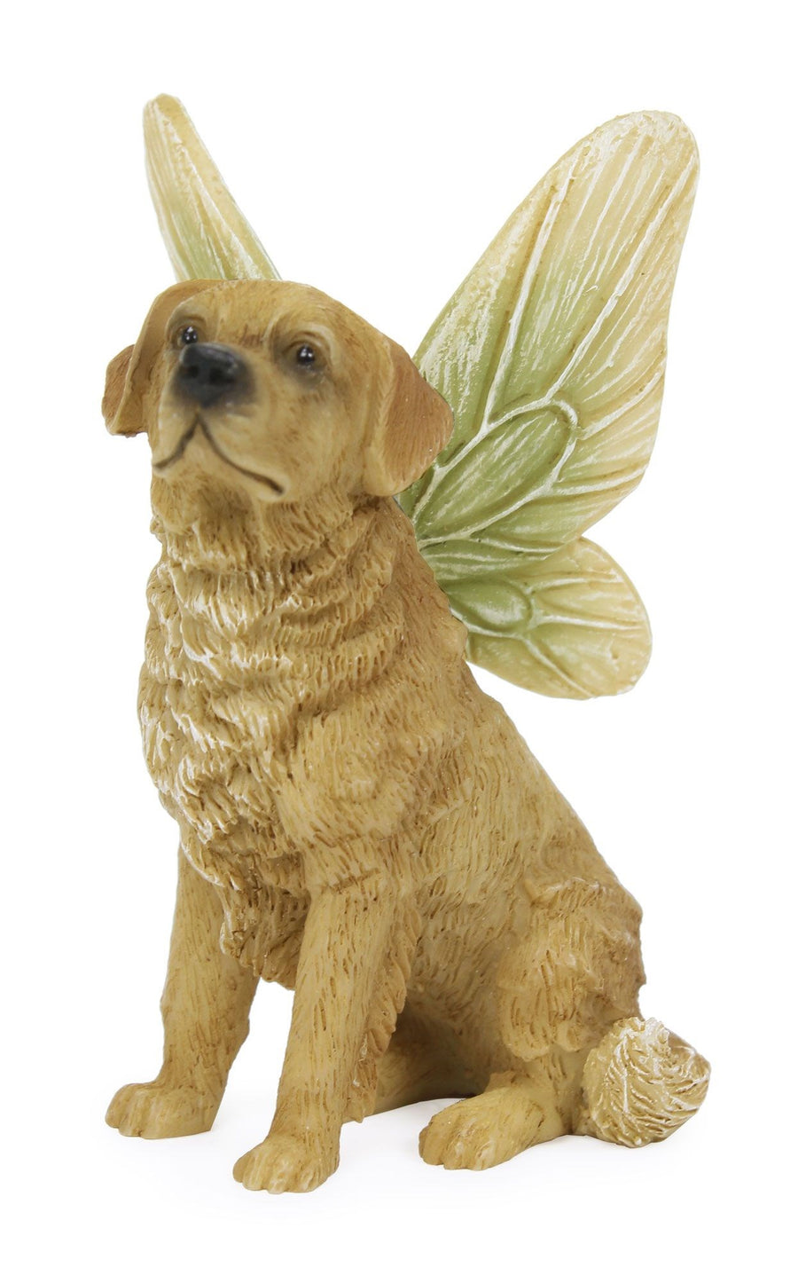 Golden Retriever - Fairy Dog
