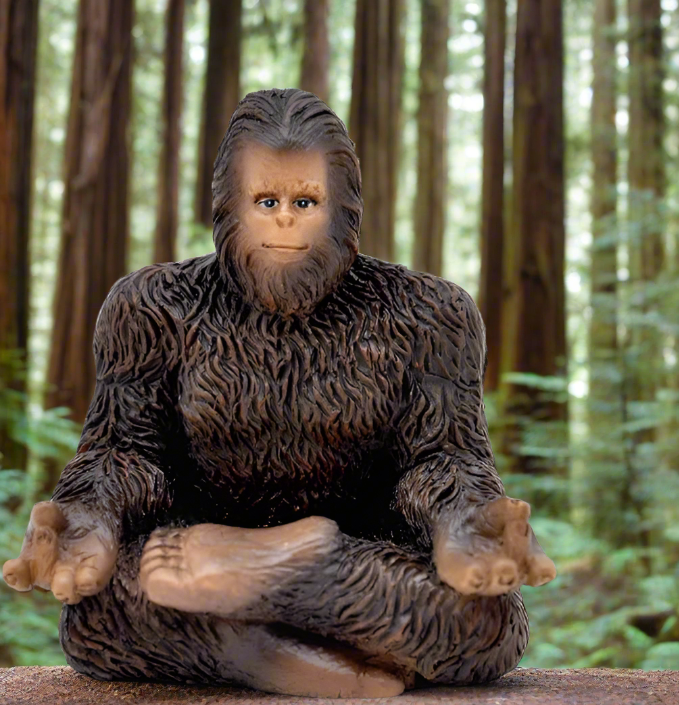 Yoga Bigfoot