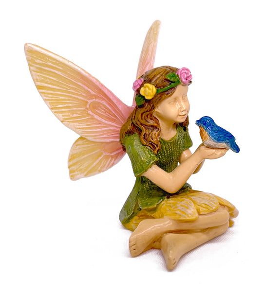 Hello Bluebird - Fairy