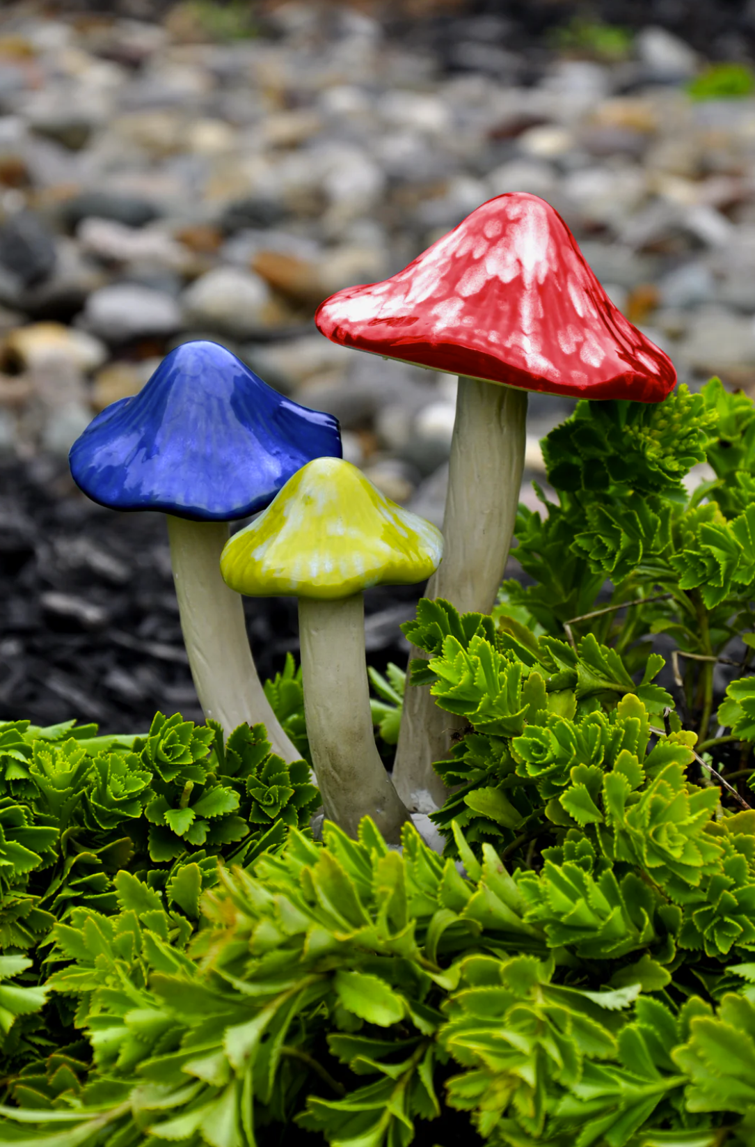 Mushroom Trios, Assorted