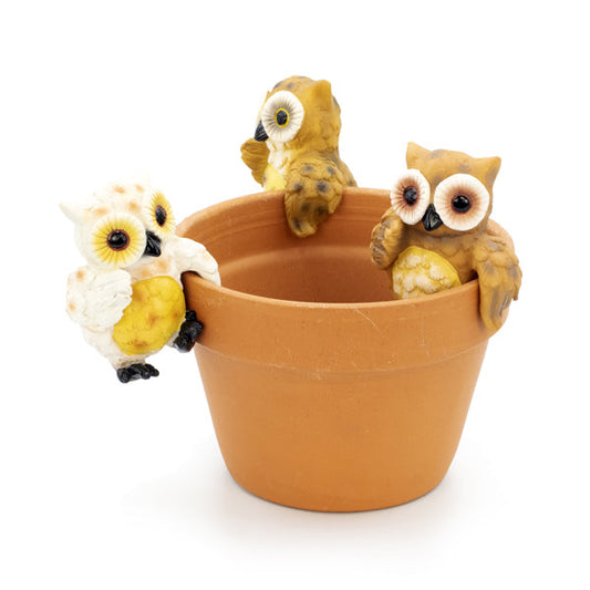 Owl Pot Hanger Medium
