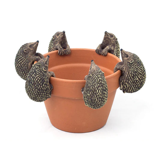 Hedgehog Pot Hanger Small