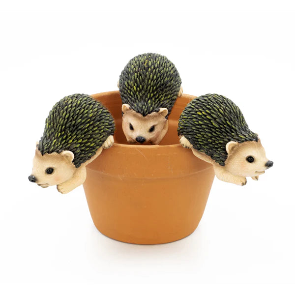 Hedgehog Pot Hanger Medium