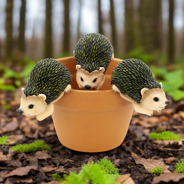 Hedgehog Pot Hanger Medium