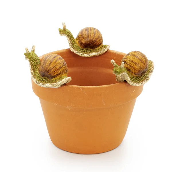 Snail Pot Hanger Medium