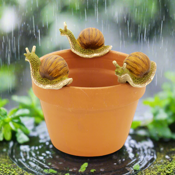 Snail Pot Hanger Medium