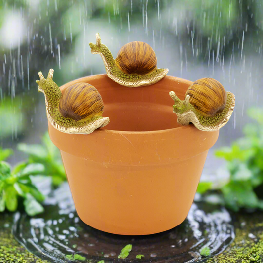 Snail Pot Hanger Medium