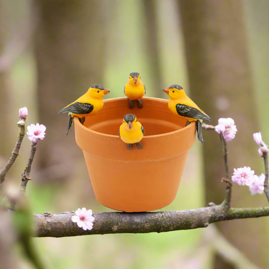 Goldfinch Pot Hanger Medium