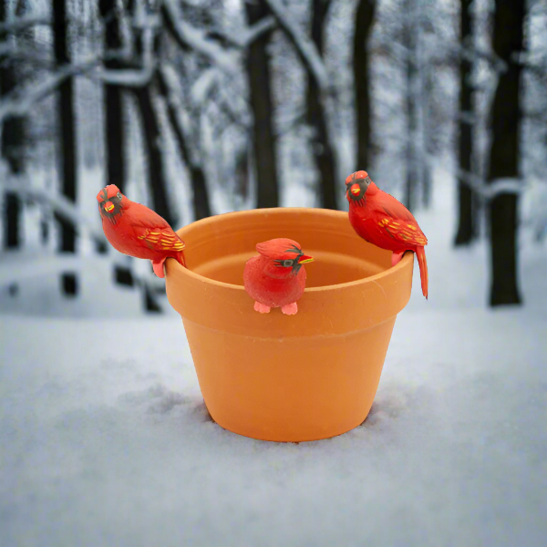 Cardinal Pot Hanger Small-2"