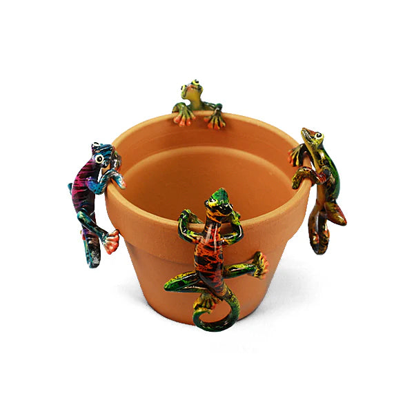 Glossy Multicolor Gecko Pot Hanger