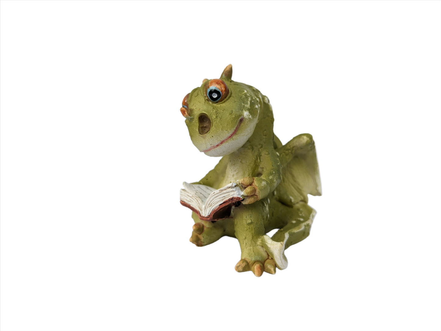 Dragon Reading Book