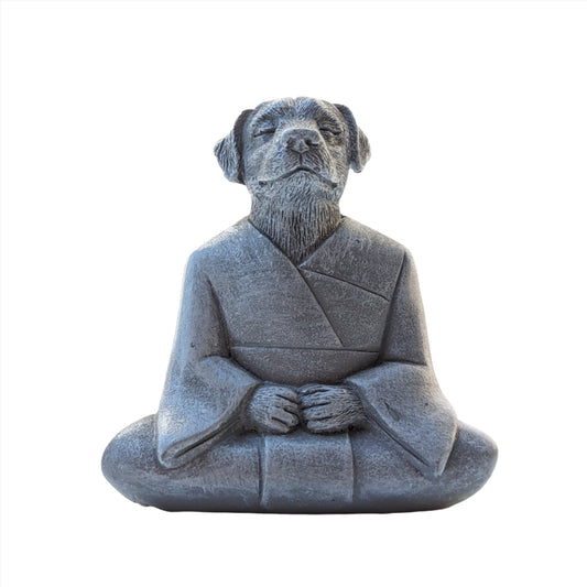 Meditating Dog