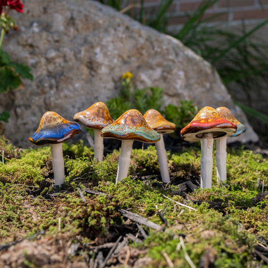 Small Natural Mushroom