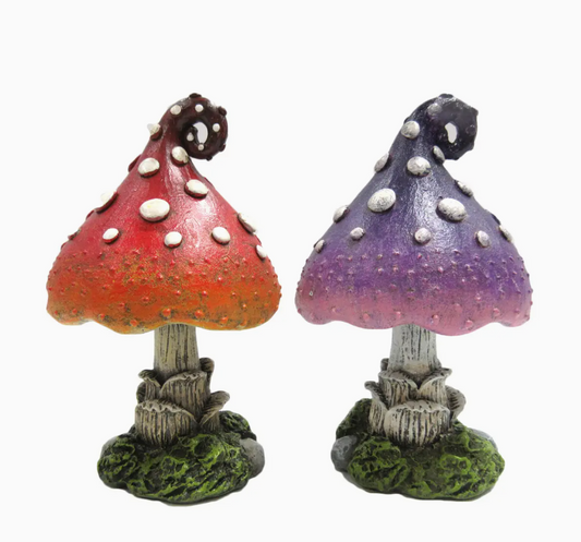 Toadstool Mushroom