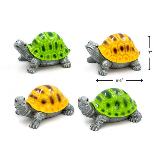 Large Turtle