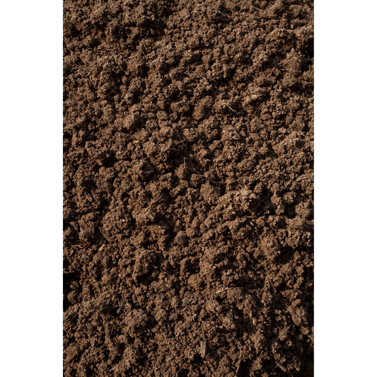 Black Dirt | Pulverized