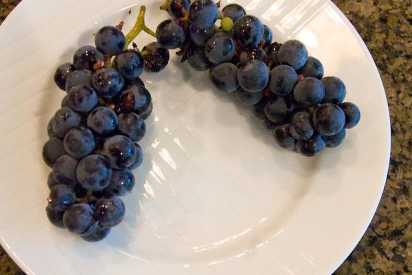 Valiant Grape
