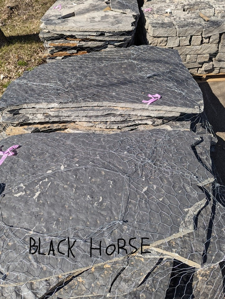 Black Horse