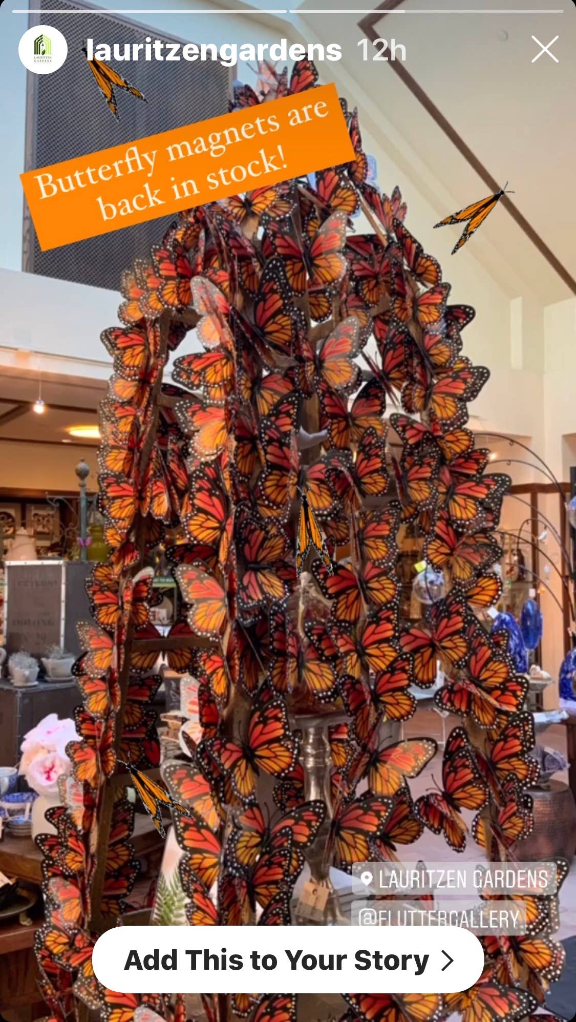 Butterfly Magnet GLOW Bundle of 100!