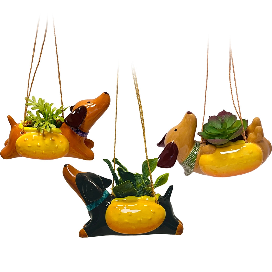 Hotdog Mini Hanging Planter