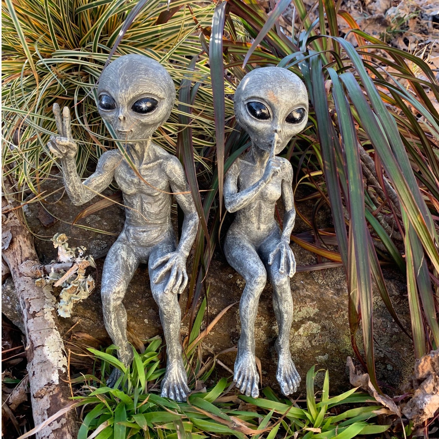 Alien Shelf Sitter - Cosmo and Aurora