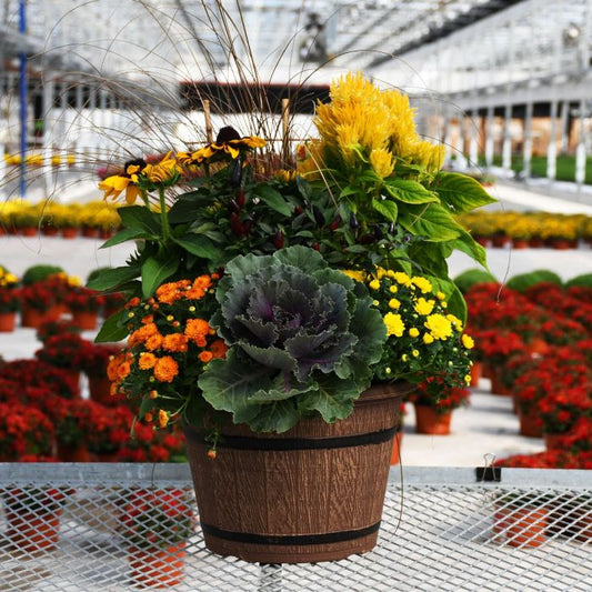 12" Festive Fall Combo Patio Pot