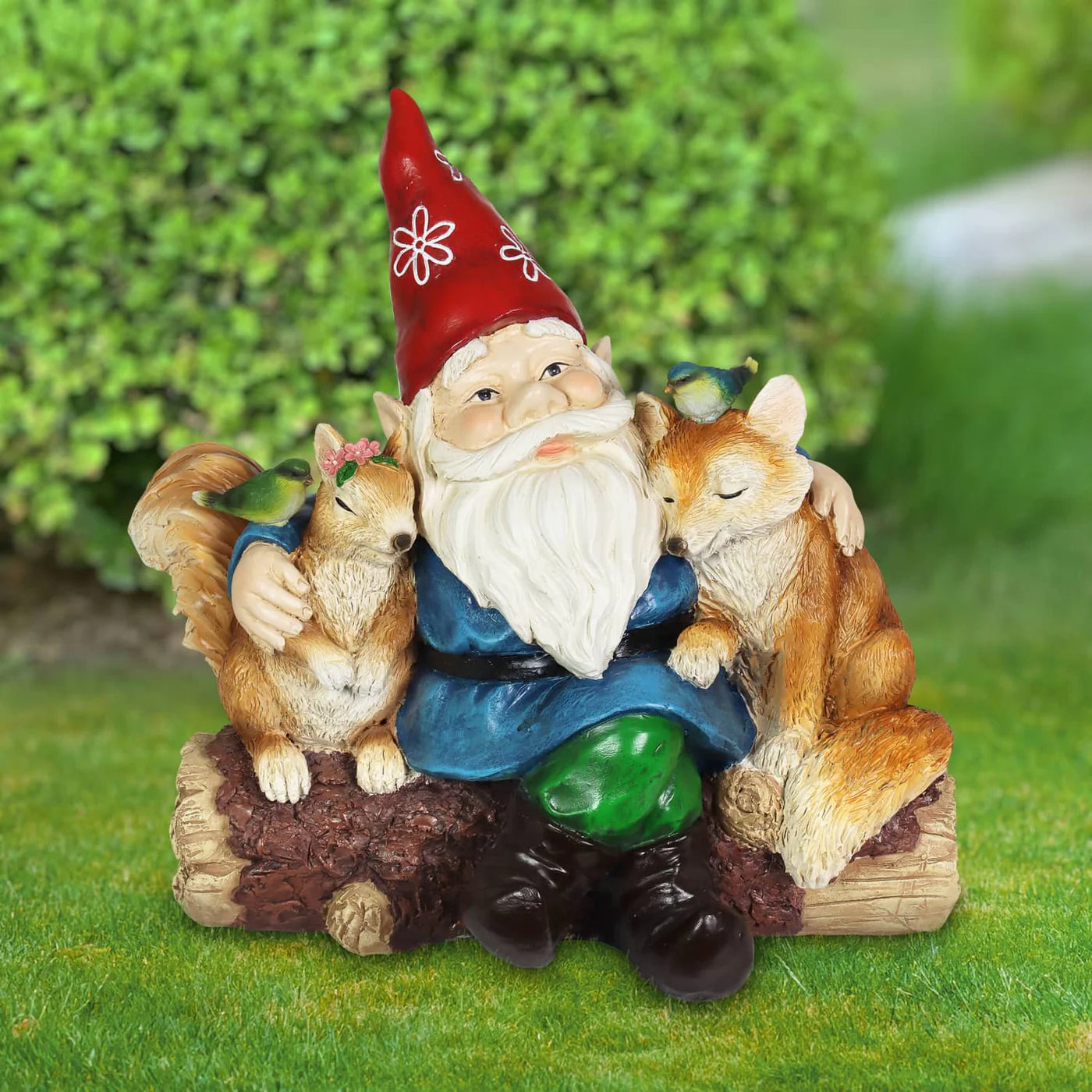 Gnome And Friends Solar Sanctuary