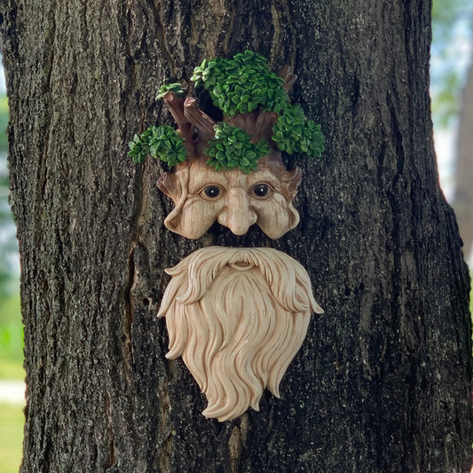 Old Man Stump Tree Face