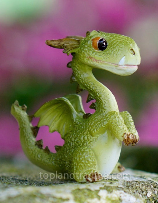 Mini Dragon