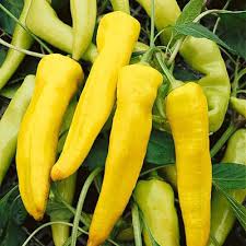 Banana Pepper - Hot - 4 Packs