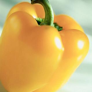 Yellow Bell Pepper - Sweet- 4 Packs