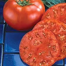 Beefmaster - LG Tomato - 4 Packs