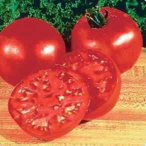 Big Boy - LG Tomato - 4 Packs