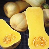 Squash Butternut- 4 Packs